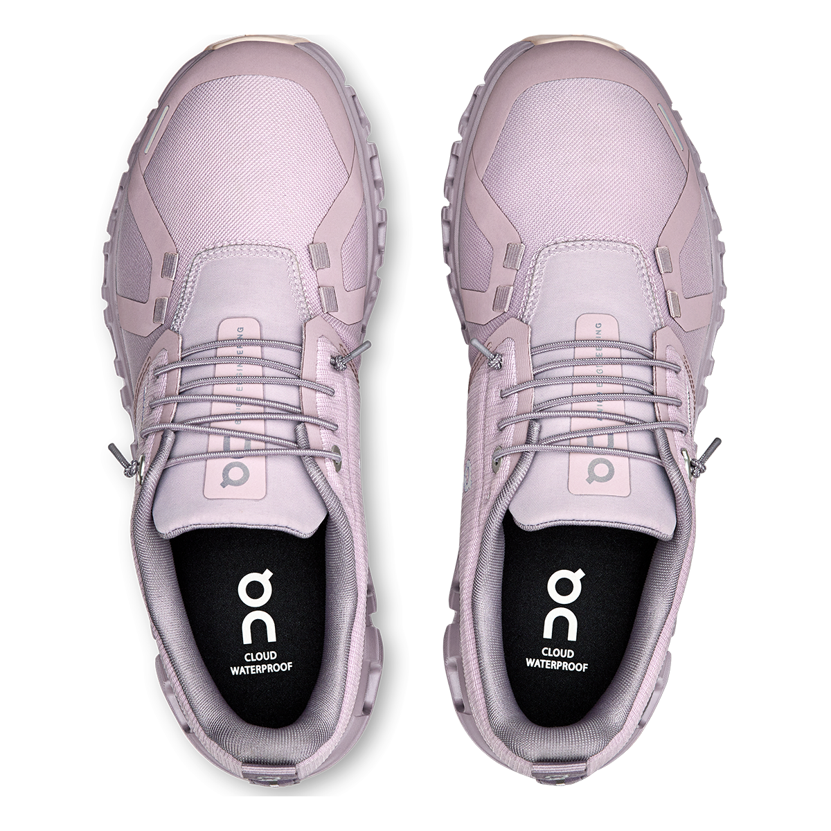 ON Cloud 6 WP
