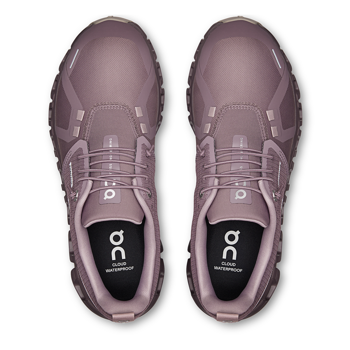 ON Cloud 6 WP