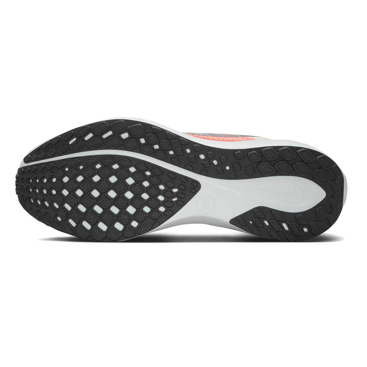 Nike Air Zoom Pegasus 41