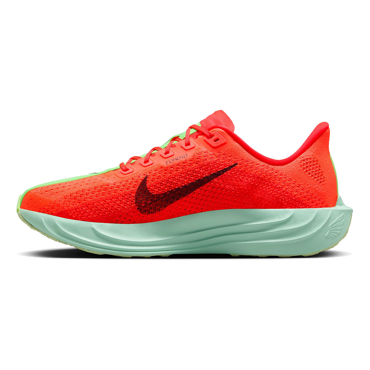Nike Pegasus Plus