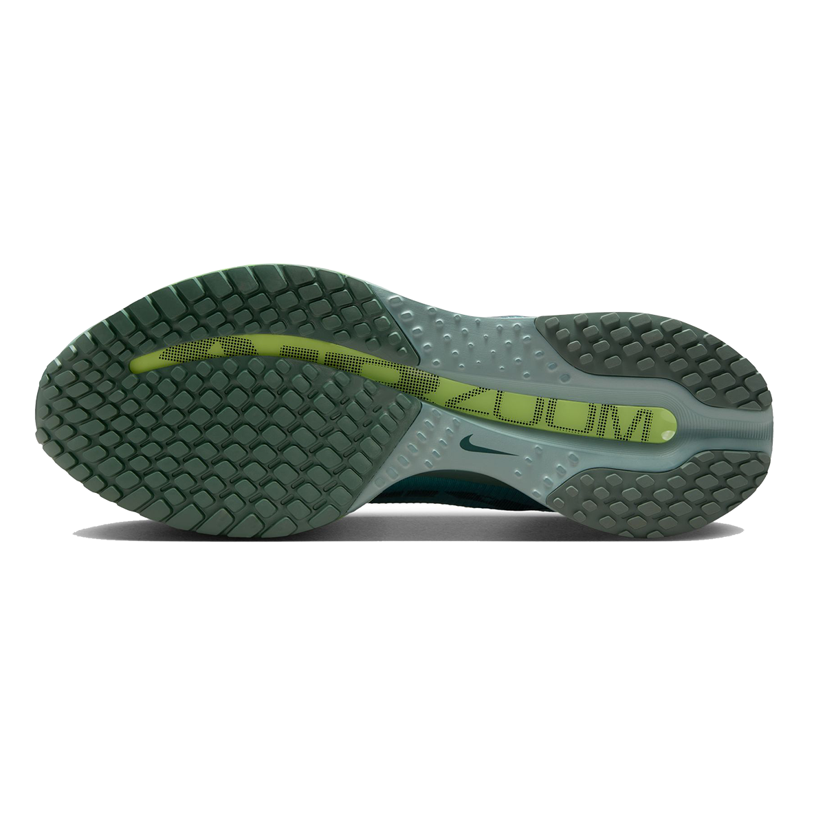 Nike Pegasus Premium