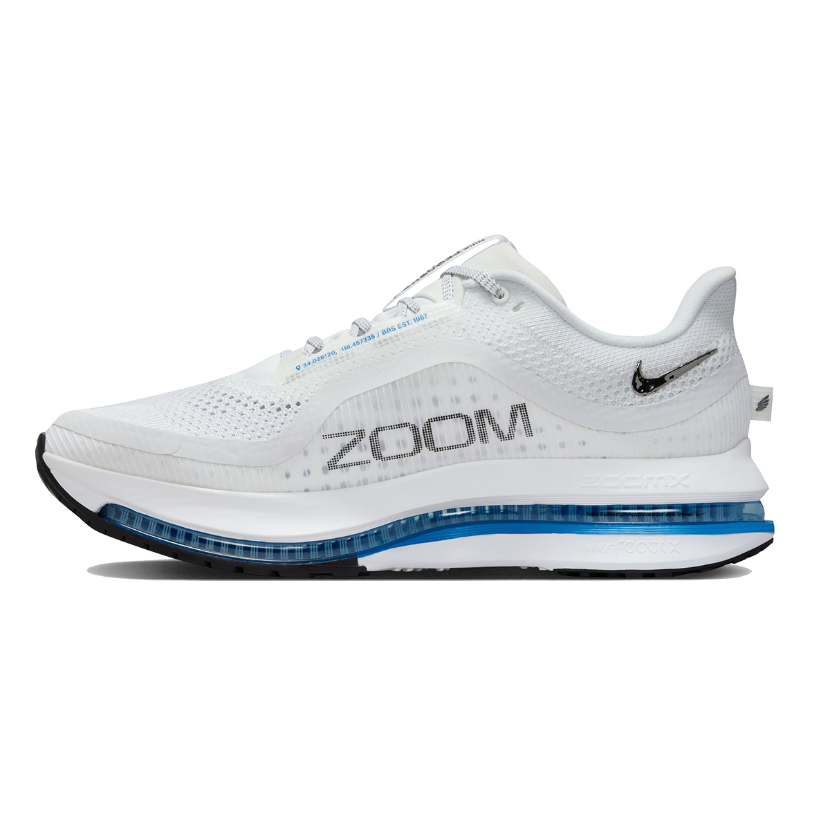Nike Pegasus Premium
