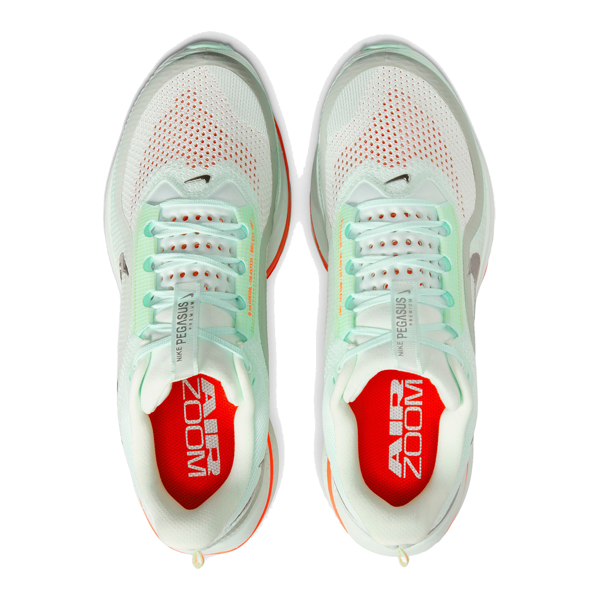 Nike Pegasus Premium