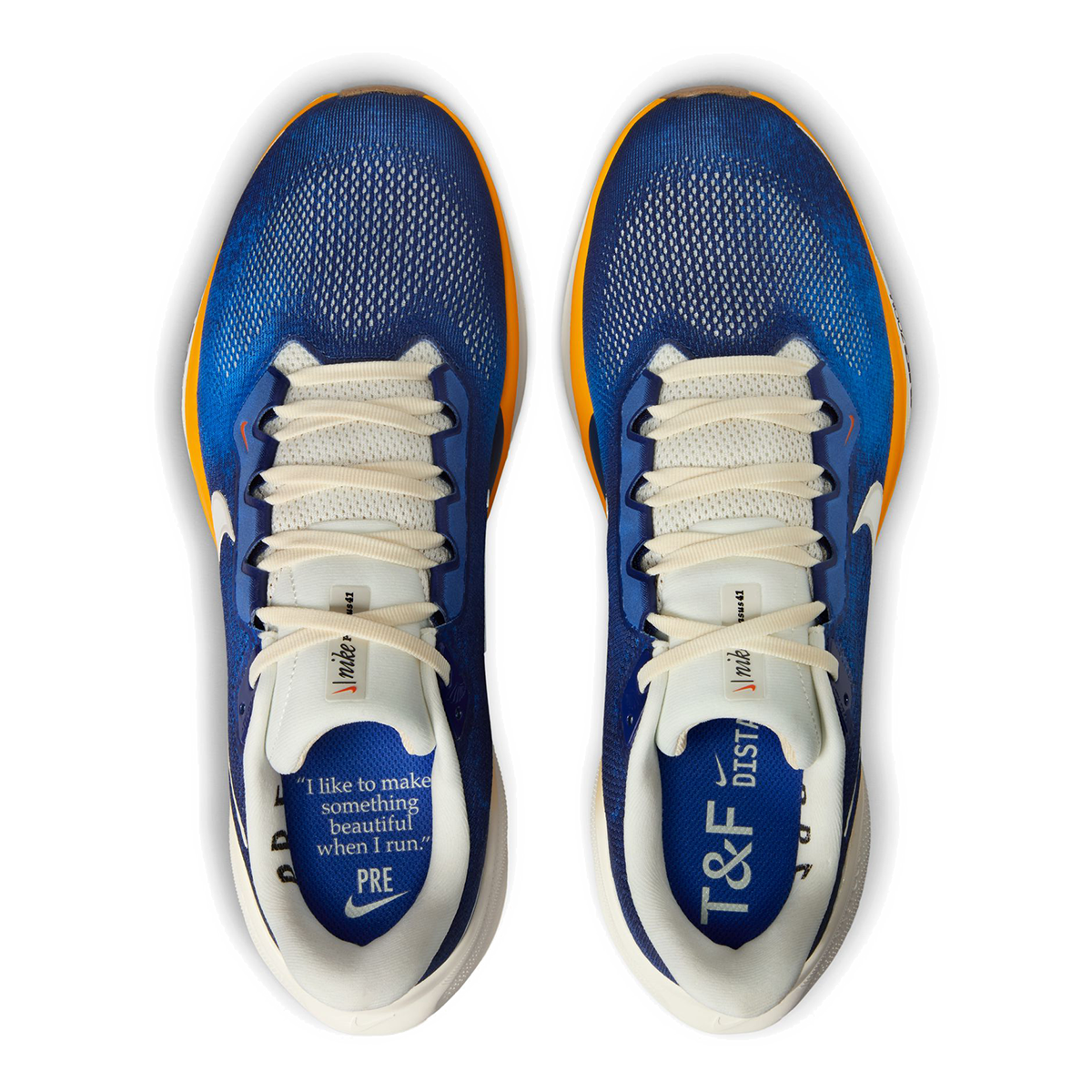 Nike Air Zoom Pegasus 41