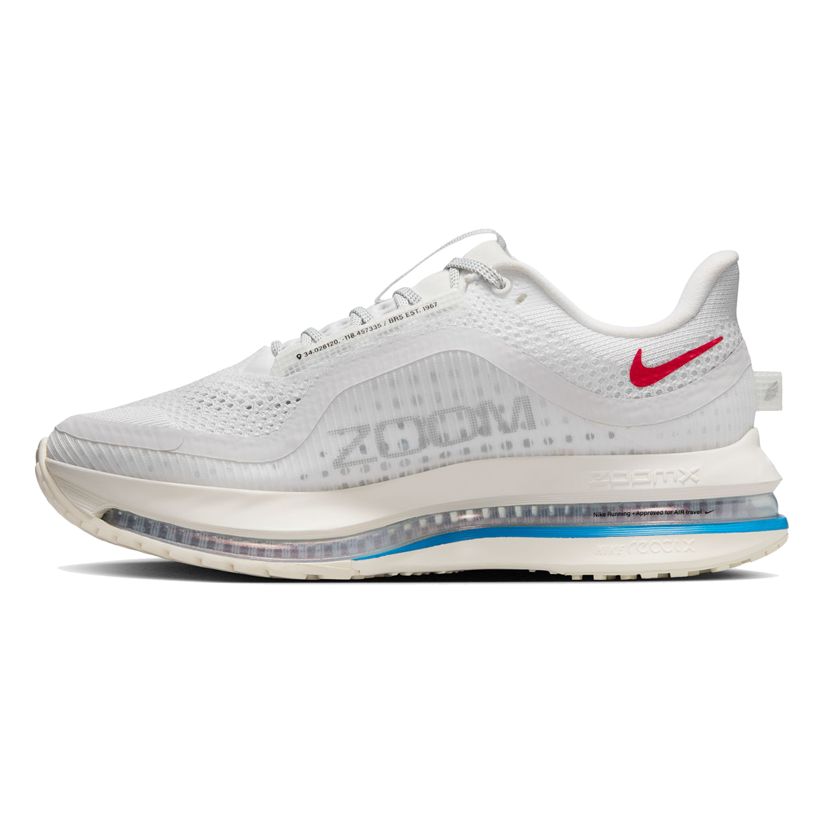 Nike Pegasus Premium