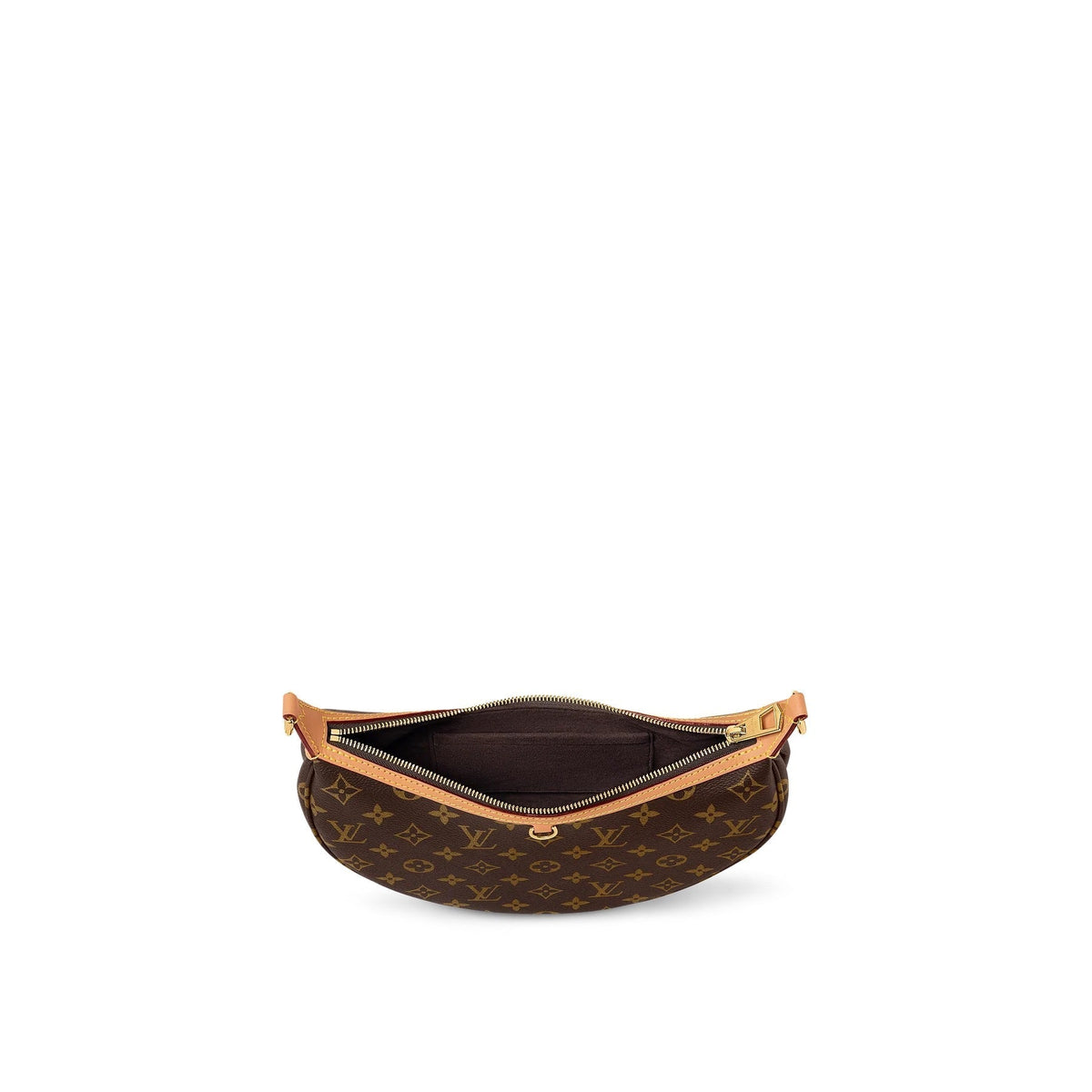 "Loop" LV Bag